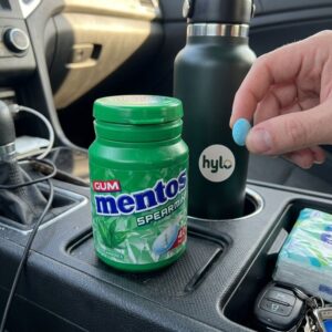 Mentos Spearmint Gum 40pcs, 56g