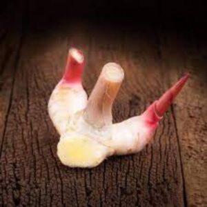 SIAM Galangal Seasoning Paste, 30g