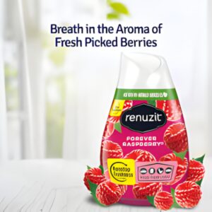 Renuzit Gel Air Freshener Forever Raspberry, 198g