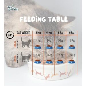 Pawsome Natural Chicken Flavor Cat Food, 1kg