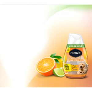 Renuzit Gel Air Freshener Clean Citrus Pet, 198g