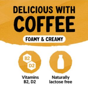 Alpro Barista Caramel Flavour, 1L