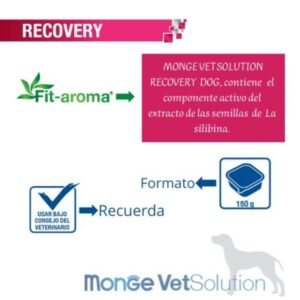 Monge VetSolution Recovery Grain-Free Wet Food for Dogs, 150g