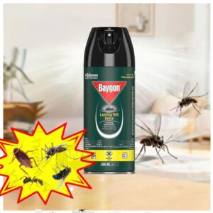 Baygon Lasting Kill Extra Crawling Insect Killer, 300ml