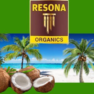 Resona Organics Organic Coconut Milk,  200ml