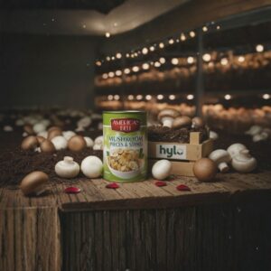 American Bell Mushrooms Pieces & Stems, 400g