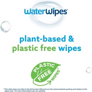 WaterWipes Baby Wipes, 60 Sheets