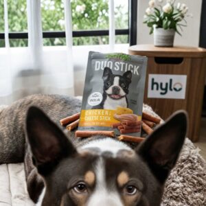 JerHigh Duo Stick Chicken with Cheese Dog Treats, 50g