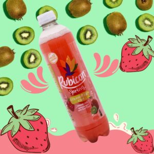 Rubicon Spring Strawberry Kiwi Sparkling Spring Water with Fruit Juice, 500ml