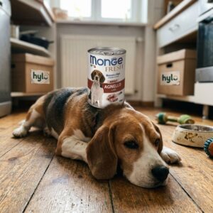 Monge Fresh Adult Dog Food, Lamb, 400g