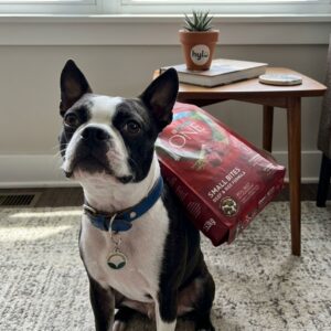 Purina ONE Small Bites Beef & Rice Formula Dog Food, 3.63kg