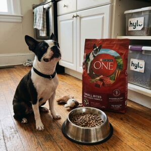 Purina ONE Small Bites Beef & Rice Formula Dog Food, 3.63kg
