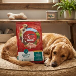 Purina ONE +Plus Digestive Health Formula Dog Food, 8 lb (3.63 kg)