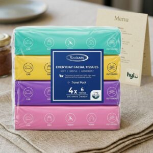RealCARE Everyday Facial Tissues Travel Pack, 4x60pcs
