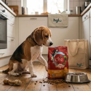 Purina ONE Chicken & Rice Formula Dog Food, 3 lb (1.36 kg)