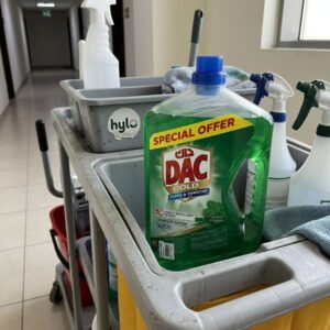DAC Gold Cleaner + Disinfectant, Peppermint & Eucalyptus, 4L