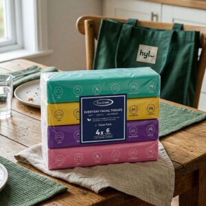 RealCARE Everyday Facial Tissues Travel Pack, 4x60pcs
