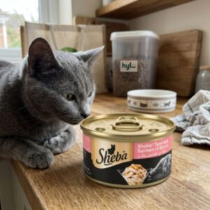 Sheba Tuna and Salmon in Gravy, 85g